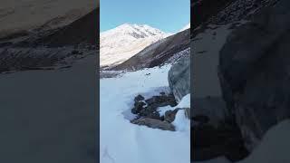 Дрон против лисы  #дрон #djimini4pro #dji