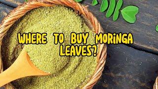 Where to Buy Moringa Leaves? Your Ultimate Guide