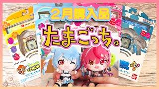 【買ったまご】ナルミヤたまごっちの入手が困難⁉️ホロオタになったあいぼん