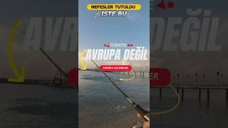 #fish #fishing #lrf #seabass #levrek #spin #lure #gopro #deniz #balık Reklam#fishinglife #beach #aşk