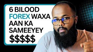 6 bil maxaan suuqa Forex ka sameeyey (live trading results)