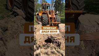 ПРИЕХАЛ ДЯДЯ ЖЕНЯ #беларусь #березинское
