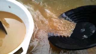 Gold panning Creswick Slatey Creek Campground