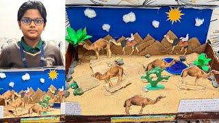 Camel Grazing in the desert | School Science Project Desert Model making |  Science exhibition