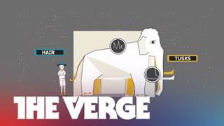 Can we bring animals back from extinction? - THE BIG FUTURE Ep. 1