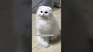 즐겁게 춤을 추다가 그대로 멈춰라!