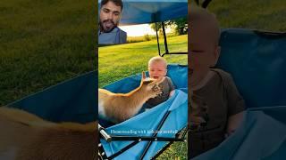 https://youtube.com/shorts/VvcblaTkN7U?si=zdSjuVU5EULfS6My