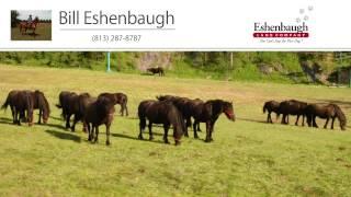 Eshenbaugh Land Company | Land in Florida