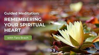 Guided Meditation: Remembering Your Spiritual Heart with Tara Brach