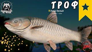 АМУР БЕЛЫЙ ТРОФ - АХТУБА ⭐ РУССКАЯ РЫБАЛКА 4 |  RUSSIAN FISHING 4@Z-B-G