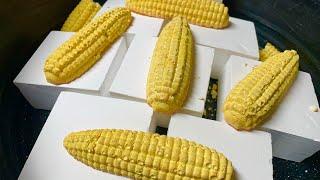 Oily Corn on the Cob & Fresh Chalk 