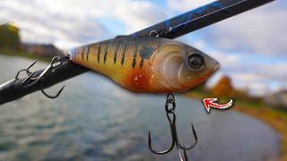 The BEST Lure for Pond Fishing!?