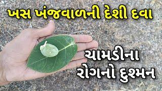 ચામડી નો ભયંકર રોગ પણ મટાડી દે આ દેશી દવા || ખંજવાળ ની દેશી દવા || skin infection