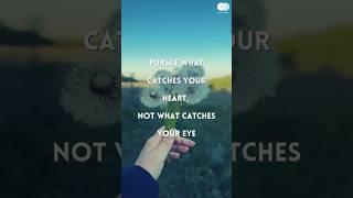 Follow Your Heart, Not Just Your Eyes  Chase What You Love! #PursuePassion #HeartOverEyes