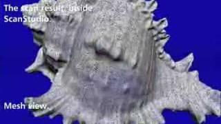 NextEngine 3D Laser Scan of Shell