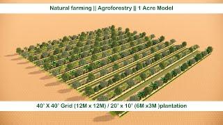 40' x 40' Grid / 20' x 10' Plantation in 1 acre || Natural farming || Agroforestry.