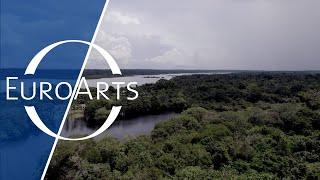 Teatro Amazonas - The Art of Sound and Nature - Trailer (2)