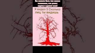 Проверьте свою внимательность, логику и интуицию — возможно, правильный ответ прямо перед глазами! 