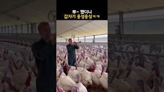 뿌~ 했더니 갑자기 웅성웅성ㅋㅋ