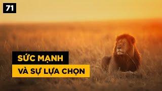 Sức mạnh và sự lựa chọn