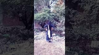 Tataiya tataiya Ho # dance # viral #shorts 