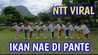 IKAN NAE DI PANTE -  ALFRED GARE FT PAX GROUP // NTT VIRAL.LINE DANCE