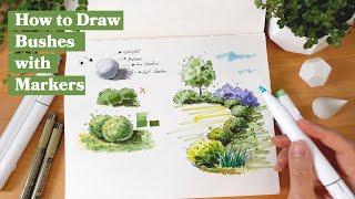 How to Draw a Bush/Shrub Using Pen and Marker