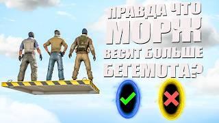 ОТВЕТЬ НА ВОПРОС И ПРОЙДИ ДАЛЬШЕ! (УГАРНЫЙ ПАРКУР В КС2)