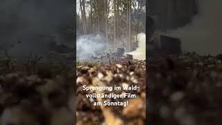 Wurzelstock wird entfernt