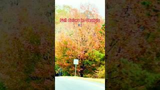 Atlanta Fall colors #trending #ytfeed #ytshorts #fallcolors #viralshort