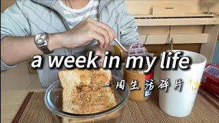 Chinese uni student VLOG｜online lectures｜study motivation｜lots of studying&cooking｜中国留学｜淘宝开箱｜生活碎片