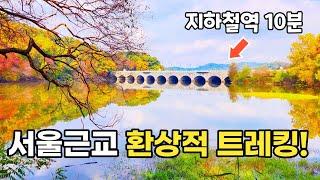 지하철 타고 가는 서울근교 힐링 트레킹 명소 | 서울대공원 둘레길 숨은 비경 | 대중교통 당일치기 여행 | Trip in Korea