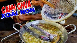 Thả Câu Bắt Cá Lươn Nấu Canh Xoài Non Nhậu Kiểu Đồng Quê