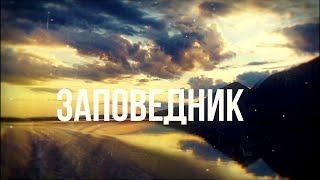 Заповедник: где пасется северный олень