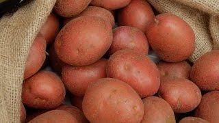 Glens of Antrim Potatoes