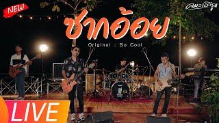 ซากอ้อย - พ็อก บิ๊กอายส์ (คณะเอวีรูม LIVE ) | Original : So Cool