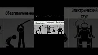 #блоха