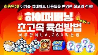 [한자] 최종완성! 하이퍼버닝MAX 가장 빠르게 올리는 공략!!! (캐릭터 생성 ~ LV260 까지 대략 10~12시간이면 끝!! 직접 보여드릴게요!!) [메이플스토리]