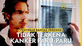 Misteri Banyak Perokok Tak Kena Kanker Paru Terpecahkan! - National Geographic Indonesia