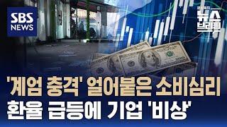 '계엄 충격' 얼어붙은 소비심리…환율 급등에 기업 '비상' / SBS / 편상욱의 뉴스브리핑