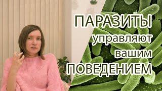 Паразиты управляют вашим поведением | Наталья Чернова