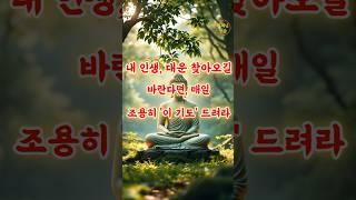 대운 맞은 사람은 매일 '이 기도' 드렸습니다 | 부처님 말씀 | 부처님 지혜 | 석가모니 말씀