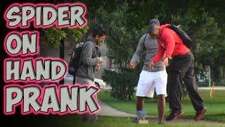 Spider On Hand Prank