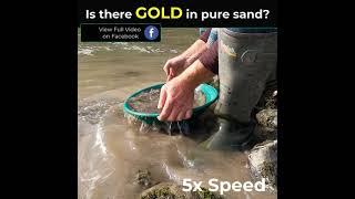 Can I find GOLD in PURE SAND?