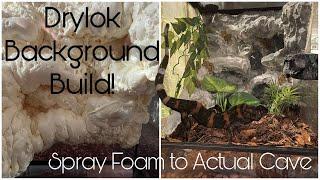 How to: Build a Drylok Background for a Reptile Enclosure!