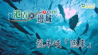 【K2秀】【港青在邊城】青海篇 第三集：龍羊峽「漁庫」