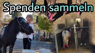 Mit Ponyreiten Spenden sammeln