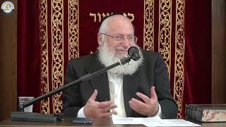 Understanding the Laws of Tzaar Balei Chaim | Weekly Shiur by Rav Asher Weiss Shlit"a (5784)