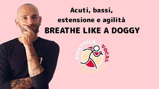 Acuti, bassi, estensione e agilità - Breath like a Doggy - Sergio Calafiura