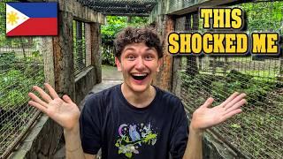 Going to Quezon City's Mini Zoo in The Philippines! | Is It Better Than Zoos in USA?! 